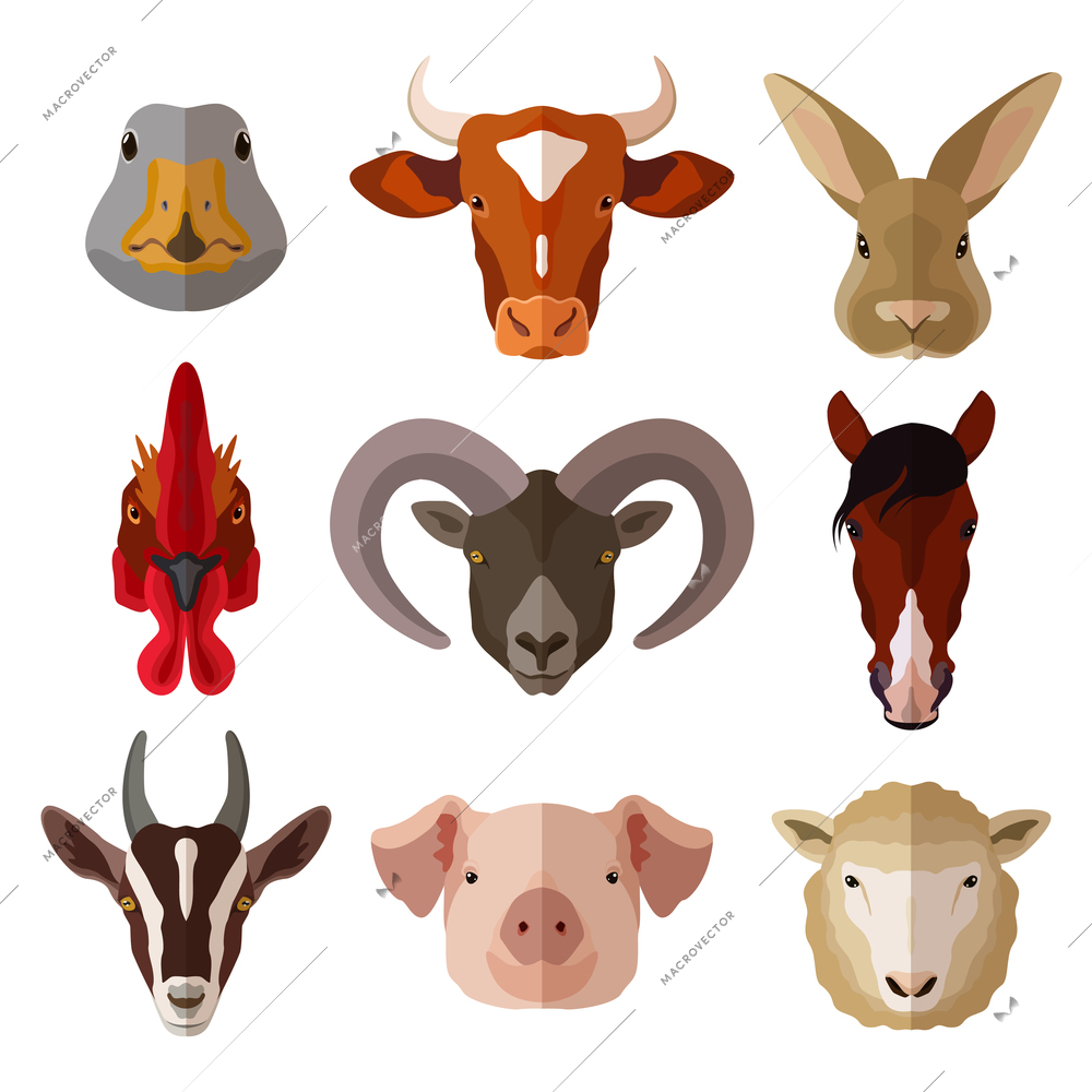 Pet portrait flat icon set with cow goose pig goat isolated vector illustration