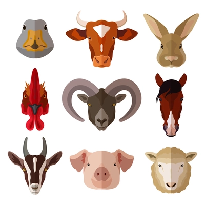 Pet portrait flat icon set with cow goose pig goat isolated vector illustration