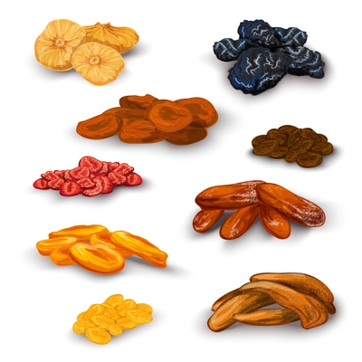 Sun dried fruit healthy nutritive food icons set with apricots raisins prunes figs abstract isolated vector illustration