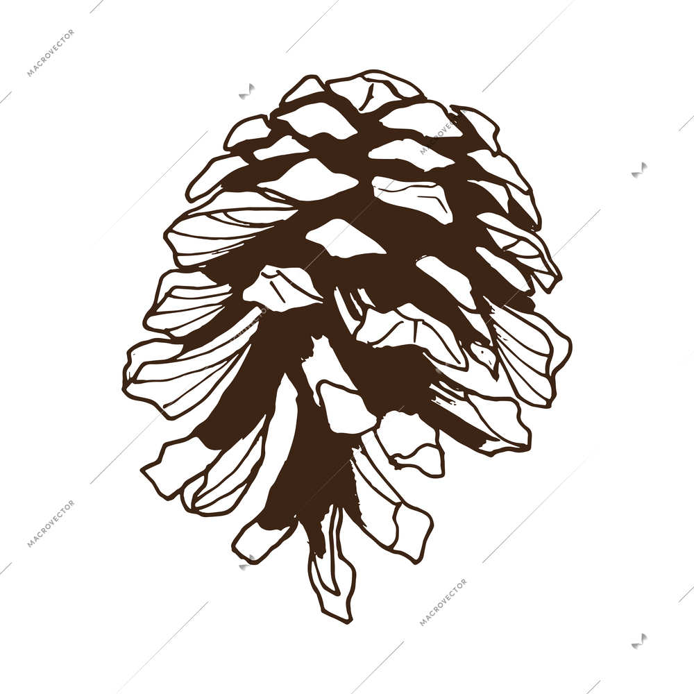 Pine branches monochrome composition with isolated hand drawn style monochrome image vector illustration