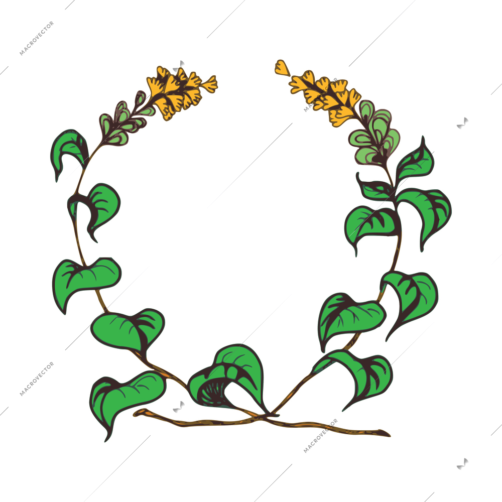 Wreaths composition with sketch colored hand drawn vintage royal heraldic leaf wreath isolated vector illustration