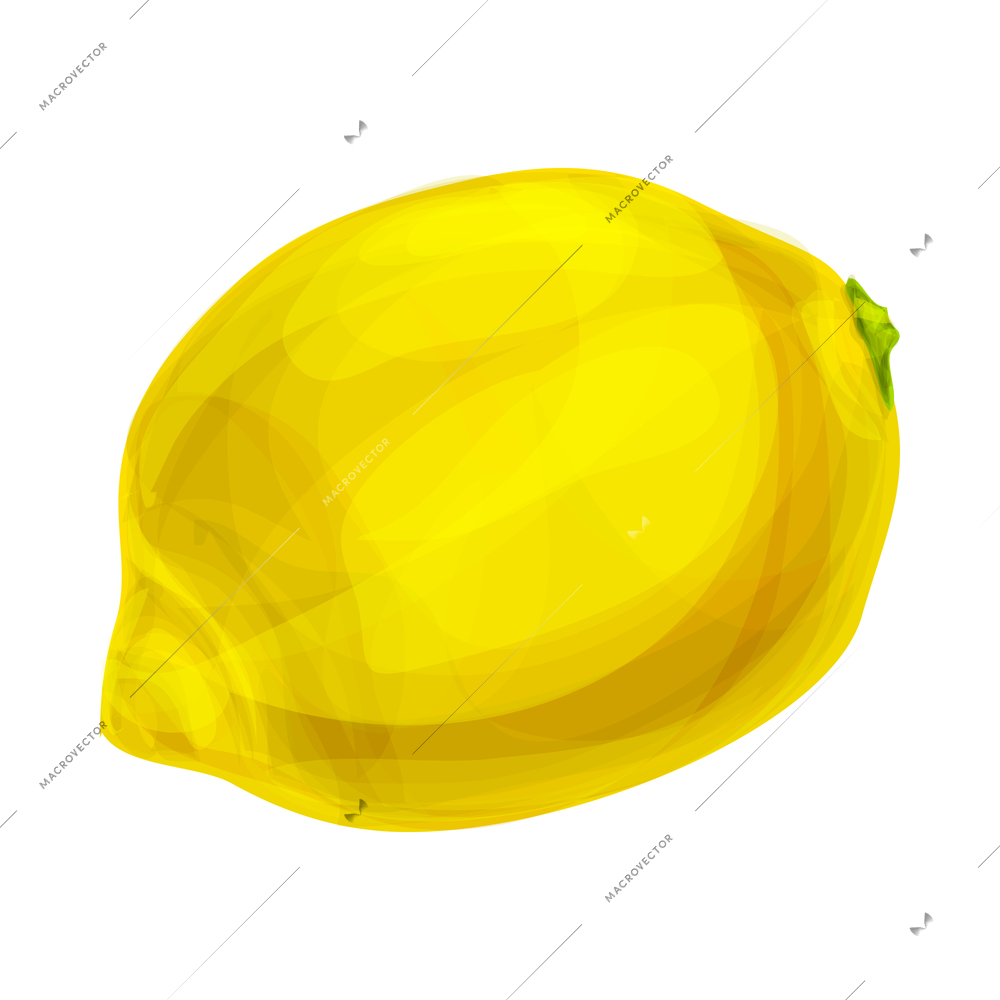 Fresh tropical organic fruits composition with isolated hand drawn sketch style image of fruit vector illustration