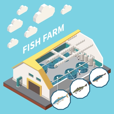 Industrial seafood fish farm indoor aquaculture facility isometric interior view with cutout roof wall sections vector illustration