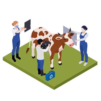 Farm animals livestock veterinary isometric composition with cow surrounded by characters of vets performing health examination vector illustration