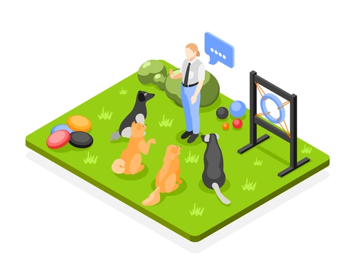 Dog school isometric composition with view of grass lawn play equipment and woman speaking to dogs vector illustration