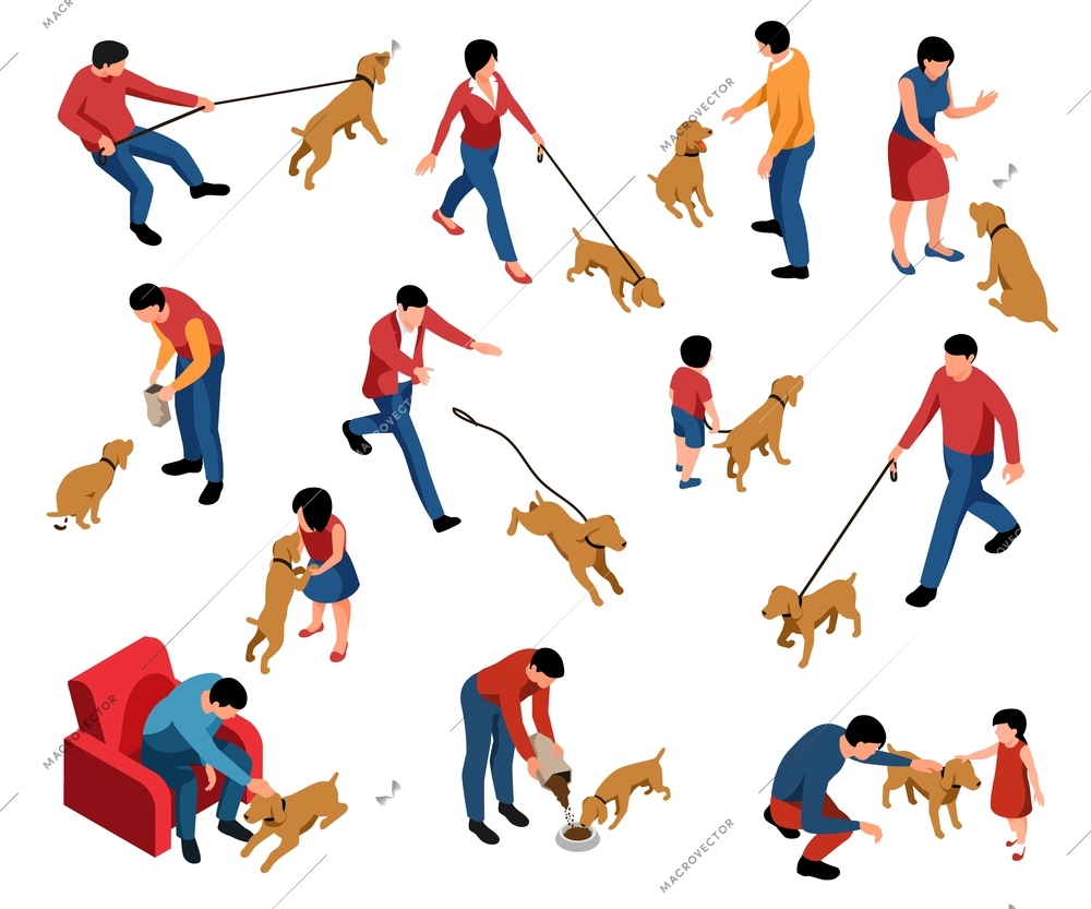 Dog owner set with daily life symbols isometric isolated vector illustration