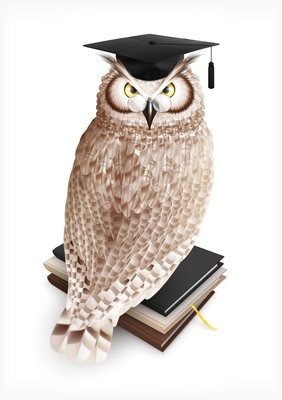 Owl bachelor realistic composition with bird sitting on books stack wearing academic hat on blank background vector illustration