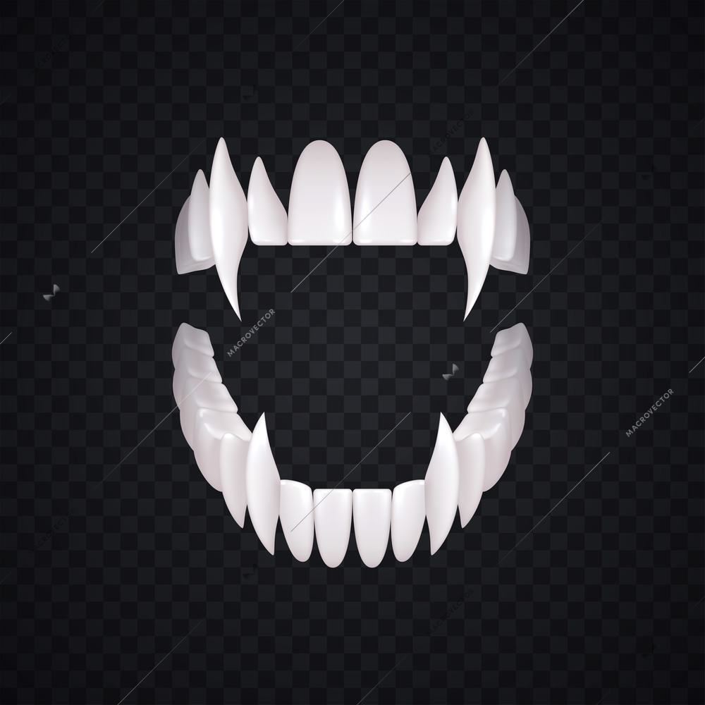 Vampire teeth realistic composition with isolated image of white predators teeth with fangs on transparent background vector illustration