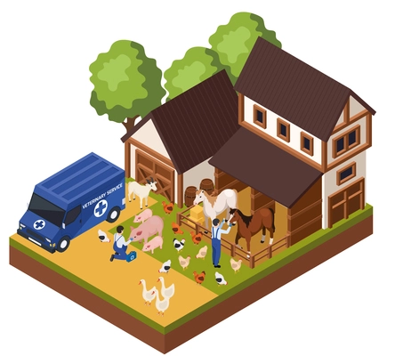 Farm animals livestock veterinary isometric composition with outdoor view of barn with medical specialists examining animals vector illustration
