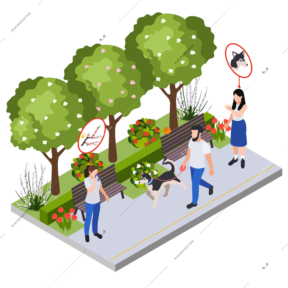 Allergy symptoms treatment isometric composition with view of park lane with dog fur and allergen flowers vector illustration