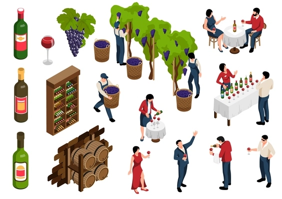 Wine isometric set with wine making and tasting isolated vector illustration