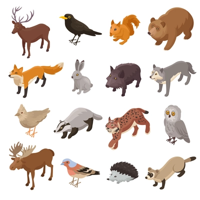 Isometric forest animal set with isolated icons of wild fauna representatives with birds on blank background vector illustration