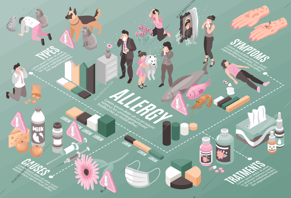 Isometric allergy horizontal composition with icons of allergens medication with people and bar charts with text vector illustration