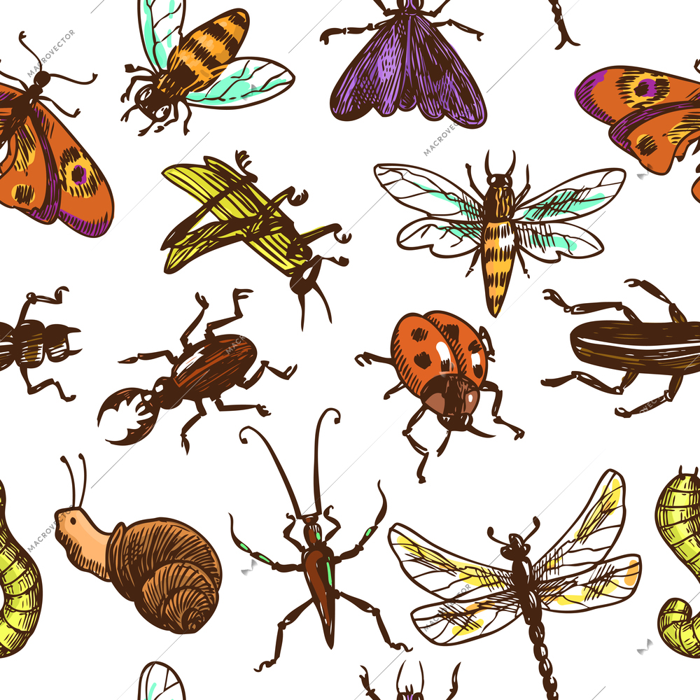 Insects sketch colored decorative seamless pattern with bug butterfly dragonfly vector illustration