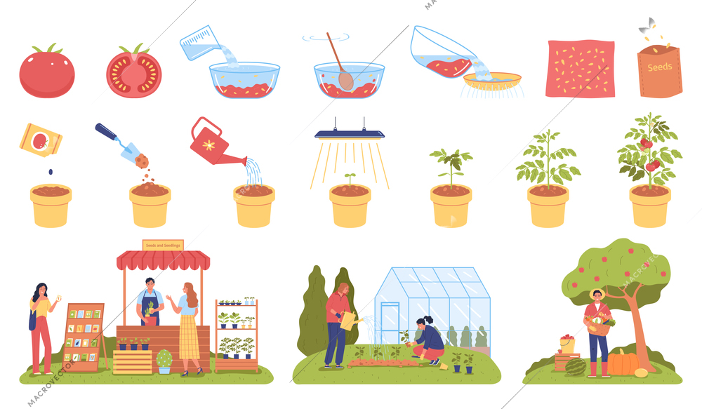 Seeds and seedlings set of growing plant stages and people engaged in farm work isolated vector illustration