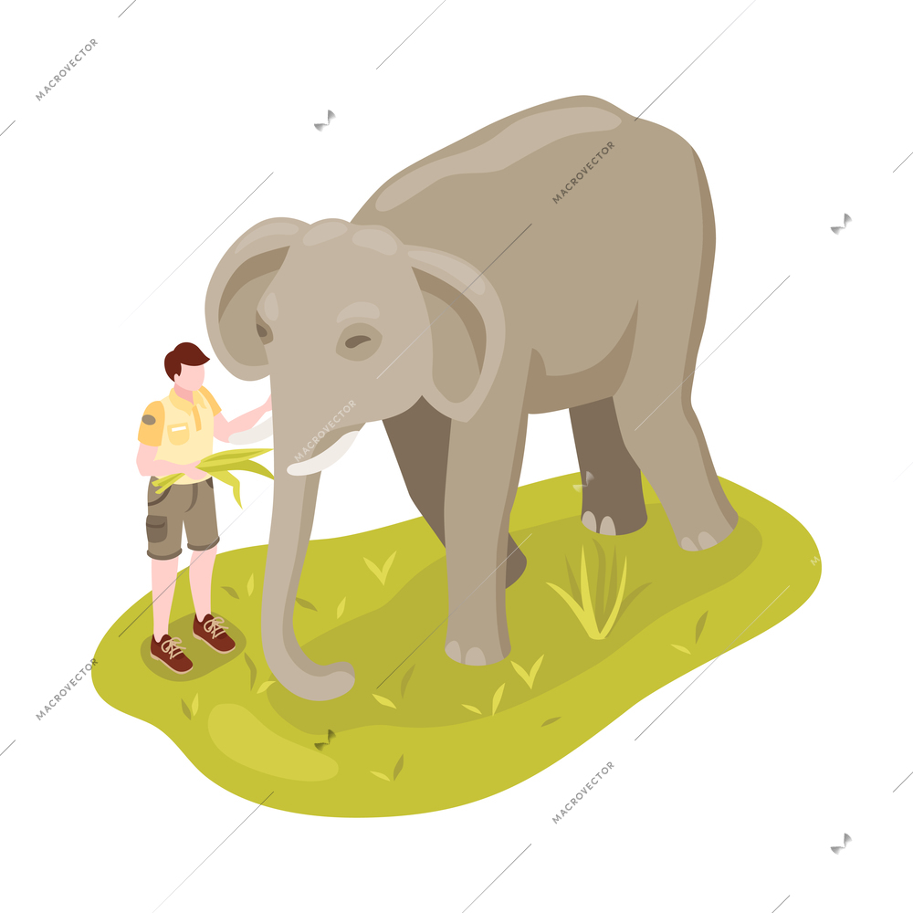 Isometric zoo composition with image of animal with human isolated on blank background vector illustration