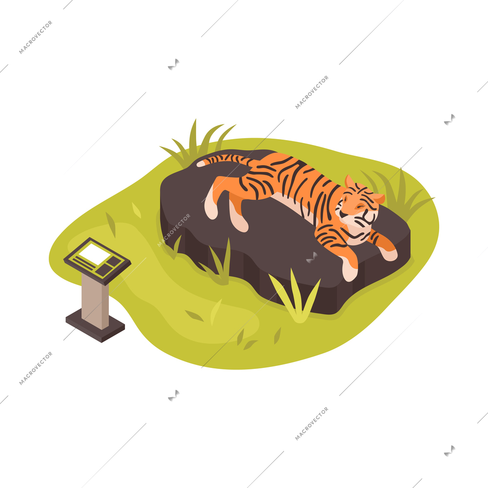 Isometric zoo composition with isolated animal park image on blank background vector illustration