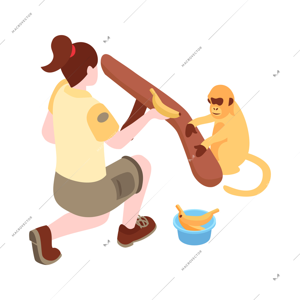 Isometric zoo composition with image of animal with human isolated on blank background vector illustration