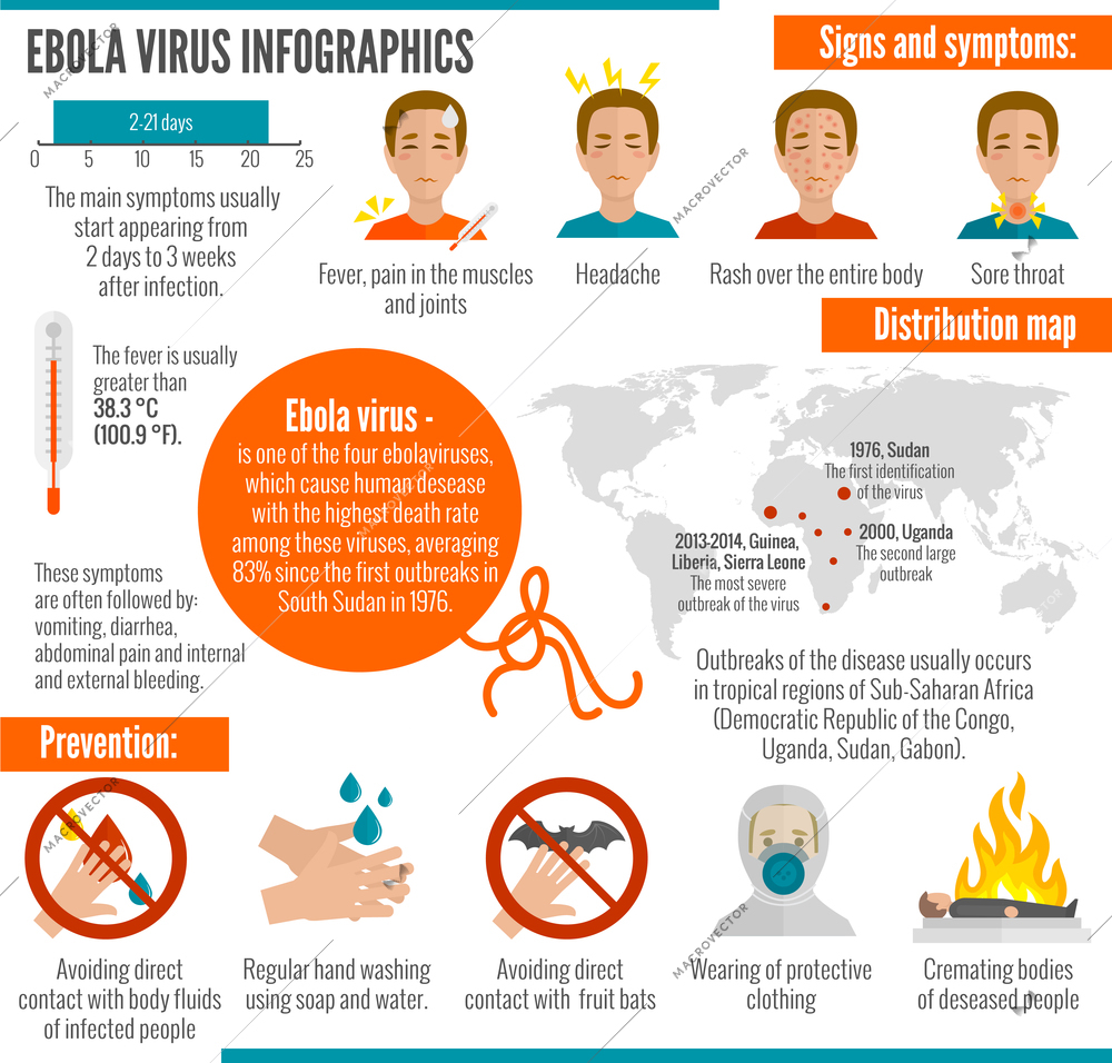 Ebola virus infographics set with infection symptoms and distribution map vector illustration