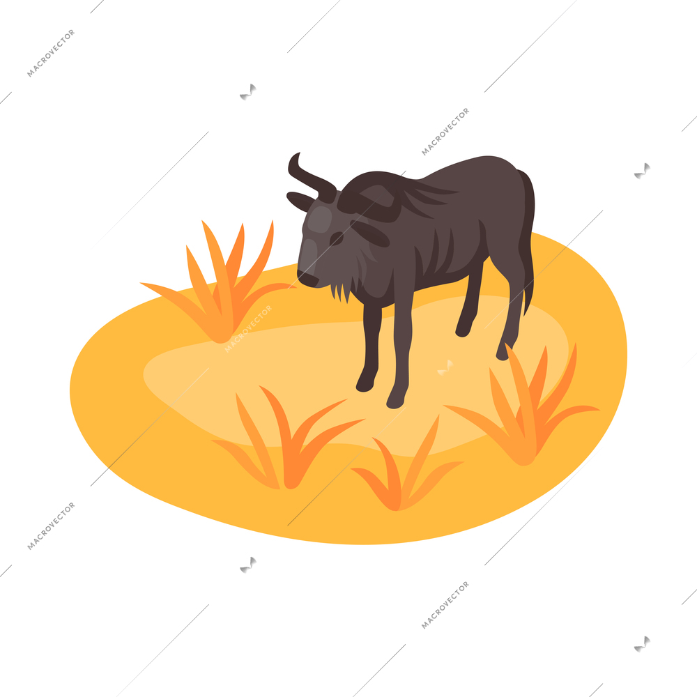 Isometric zoo composition with isolated animal park image on blank background vector illustration