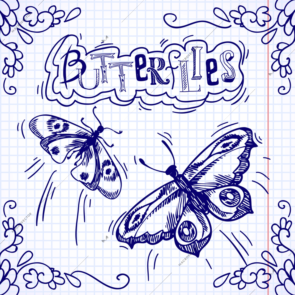 Butterflies insects blue doodle with floral ornament on squared background vector illustration