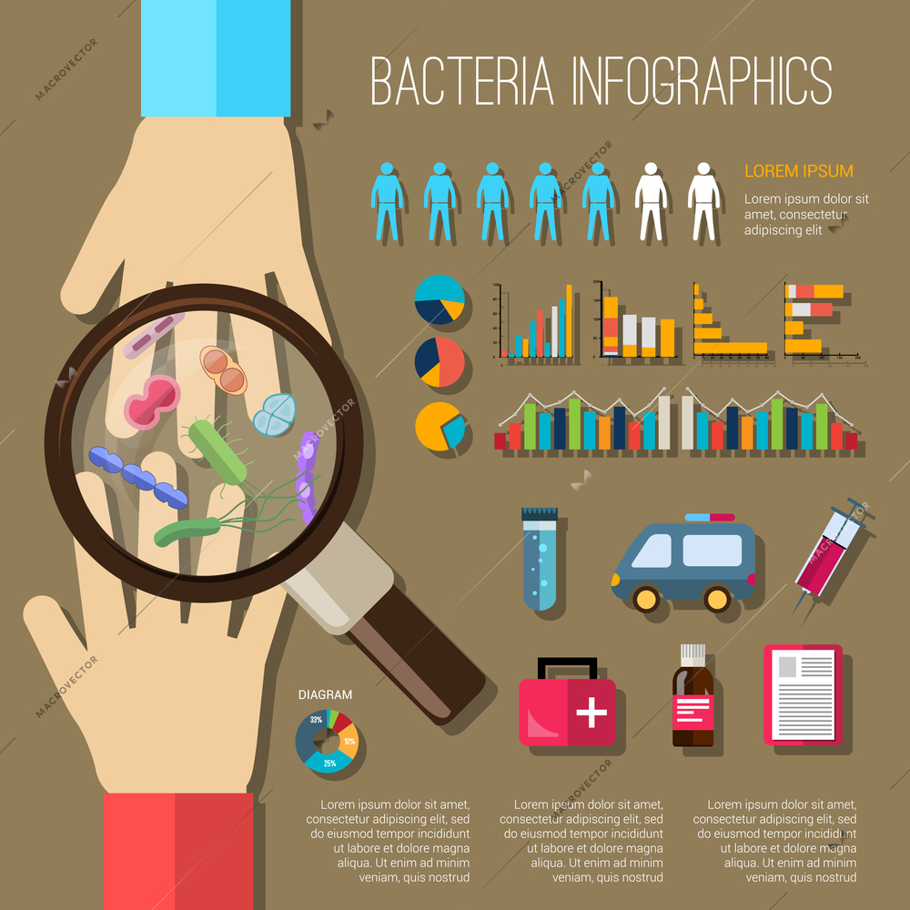 Bacteria infographics set with hands magnifier medical elements and charts vector illustration