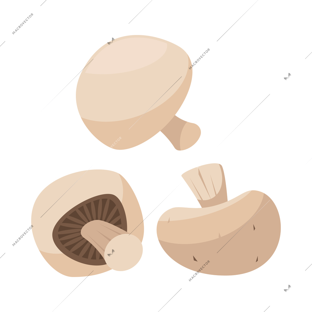 Pizza composition with isolated food ingredient image on blank background vector illustration