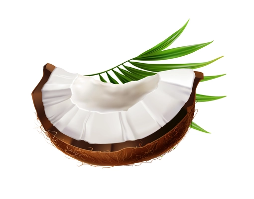 Coconut realistic composition with ripe exotic fruit part isolated on blank background vector illustration