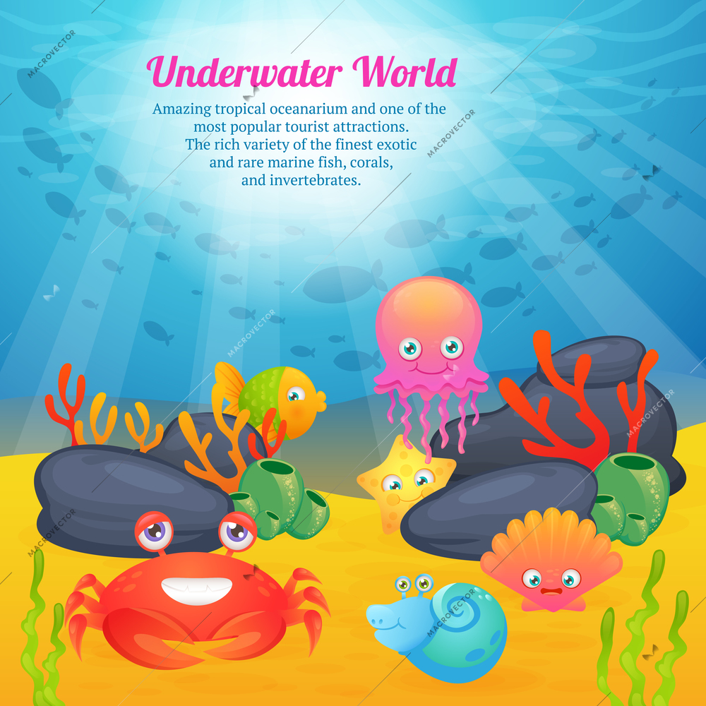 Exotic underwater world  tropical oceanarium  cartoon creatures  cute star fishes corals animals advertisement poster abstract vector illustration.