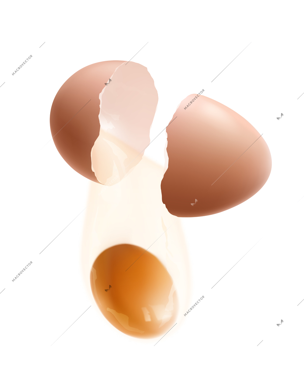 Hen eggs composition with isolated realistic food image on blank background vector illustration