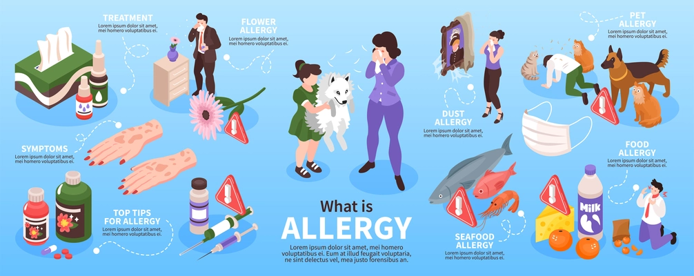 Isometric allergy infographics with isolated icons of allergens with human characters and editable text captions attached vector illustration