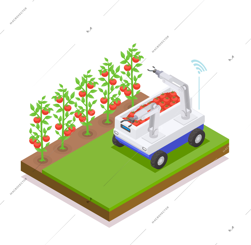 Agriculture automation and smart farming composition with robot harvesting tomatoes vector illustration