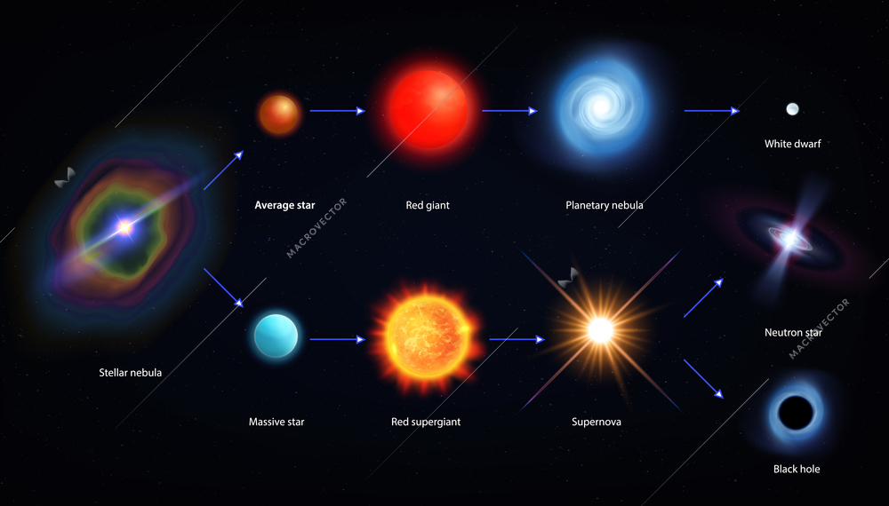 Star life cycle infographics with realistic images of massive and supernova stars with black hole arrows vector illustration