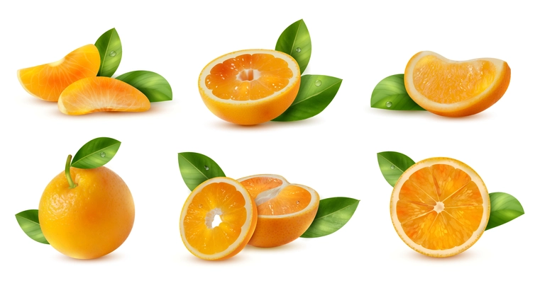 Realistic orange leaves set with isolated images of whole and cut juicy fruits with fresh greenery vector illustration
