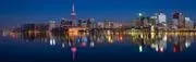 akc Go Abroad image 3