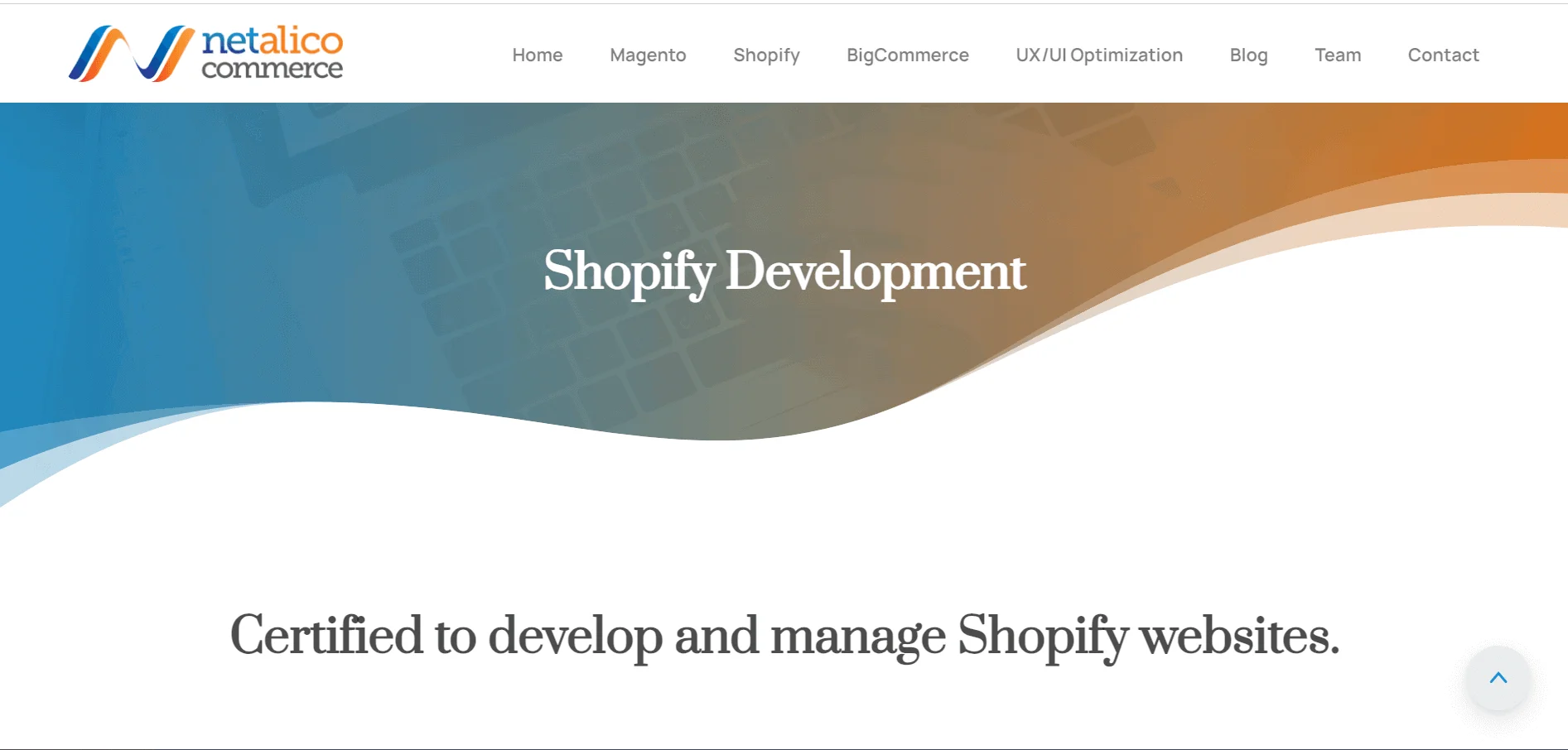 Netalico’s Shopify development service