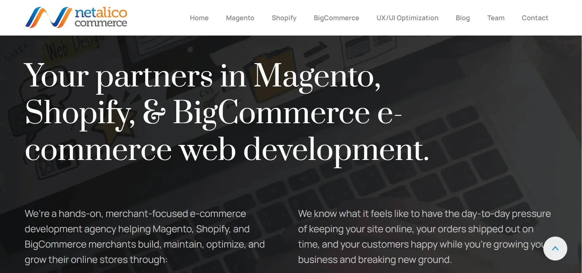 Netalico Commerce’s website