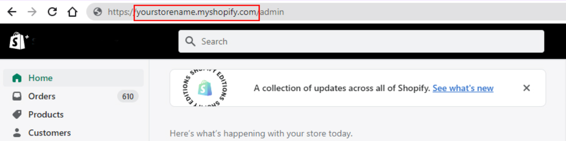 What does a Shopify store link look like?