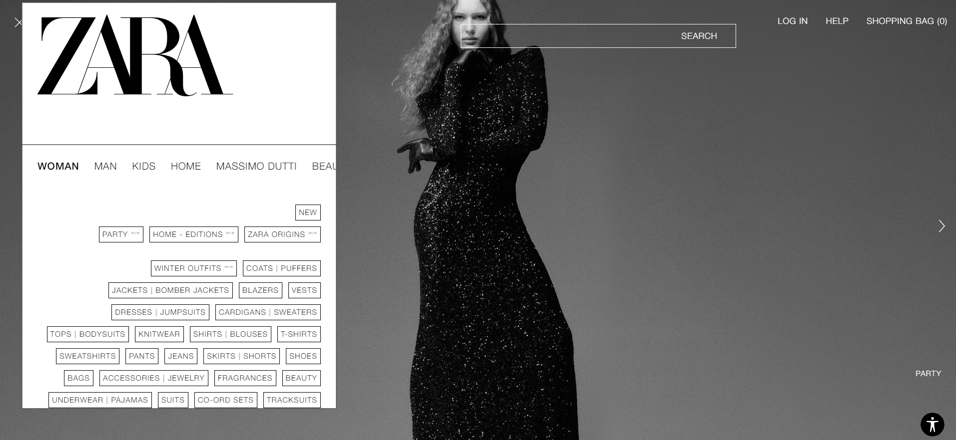 Zara website design