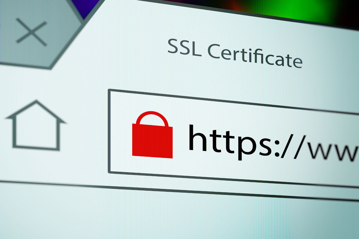 Budget for SSL Certificate in Website Development Cost