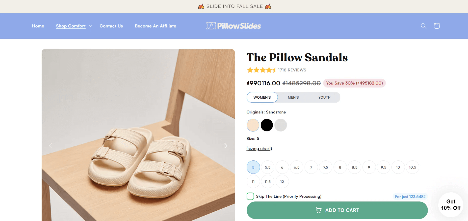 Pillow Slides dropshipping homepage