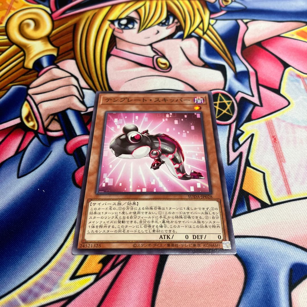 Template skipper, normal SUDA-JP028