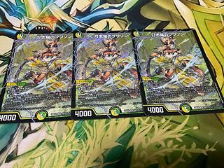 刀志猫のプワソン SR S8/S15 3枚