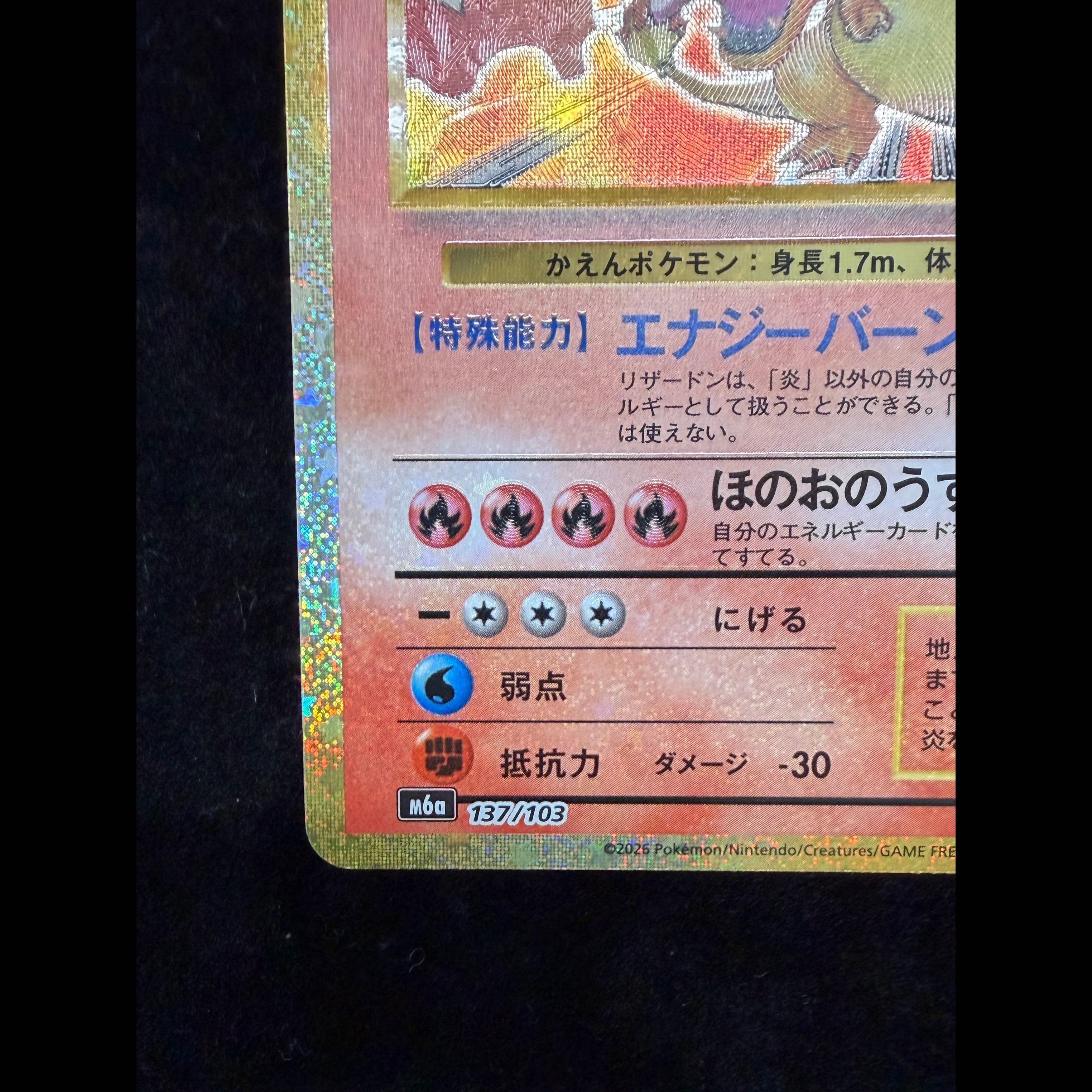Charizard 137/103 1枚