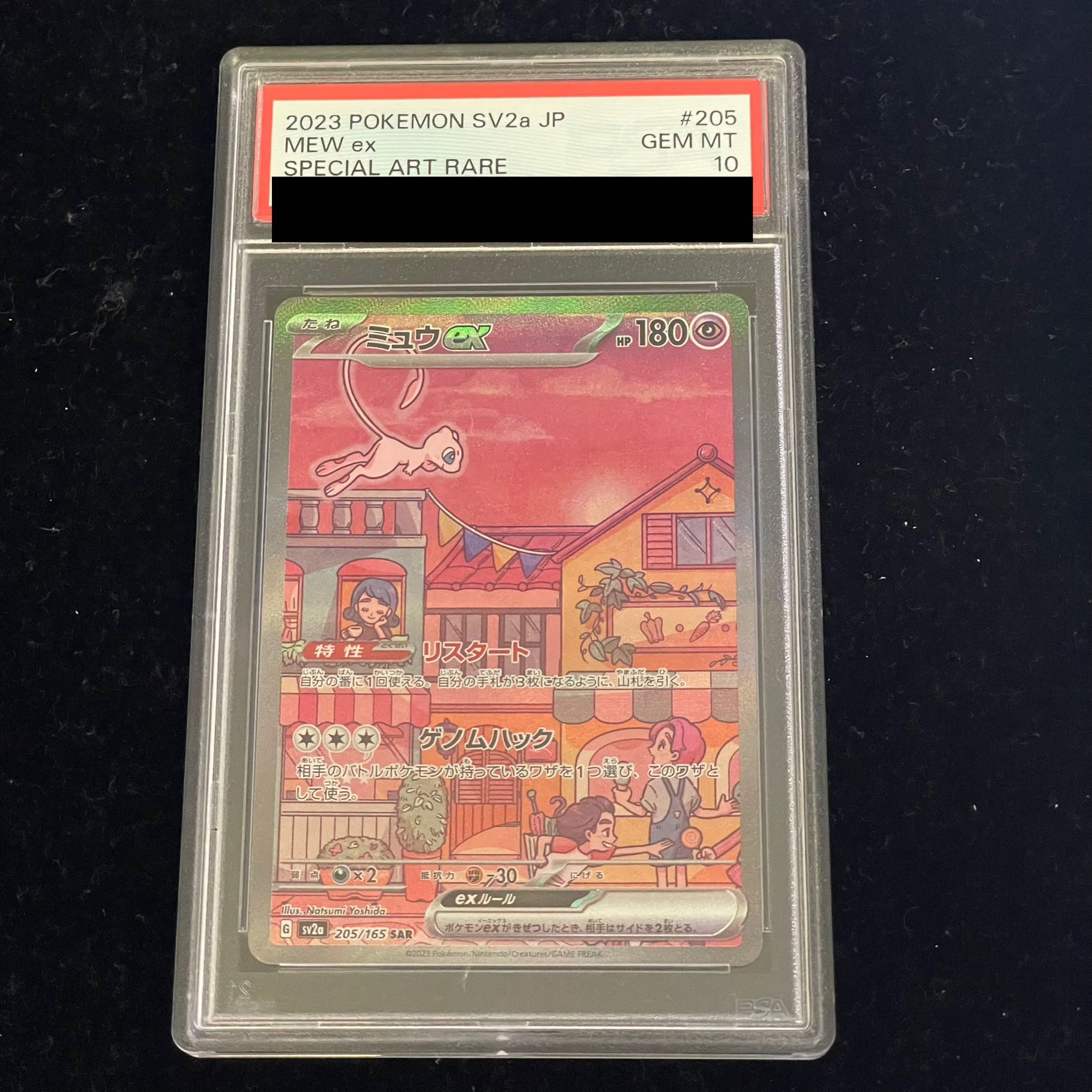 PSA10] Mewex SAR 205/165