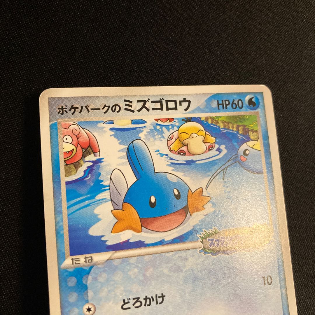 a49 Pokémon Park Mudkip Promo 048\PCG-P Promo: Mudkip's Splash Adventure Pokémon TreTre 1枚