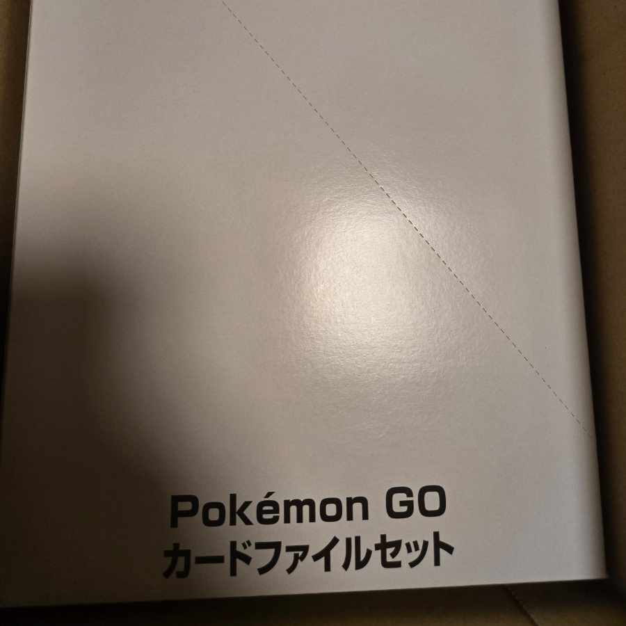 Pokemon GO カードファイルセット 未開封BOX  6BOX