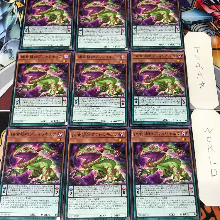 1 Normal Parallel, Trap, Set of 9, Tera. 9枚