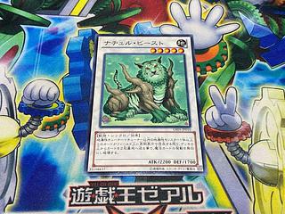 Y-1556 Naturia Beast Normal JP010