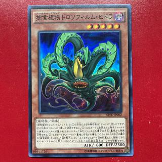 Axg 捕食植物ドロソフィルム・ヒドラ スーパーレア JP002 1枚